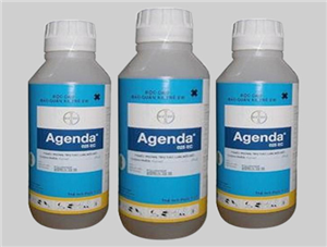 agenda-25ec