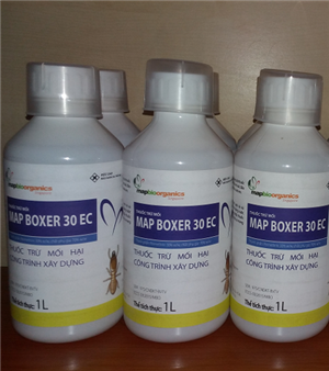 thuoc-phong-diet-moi-map-boxer-30ec